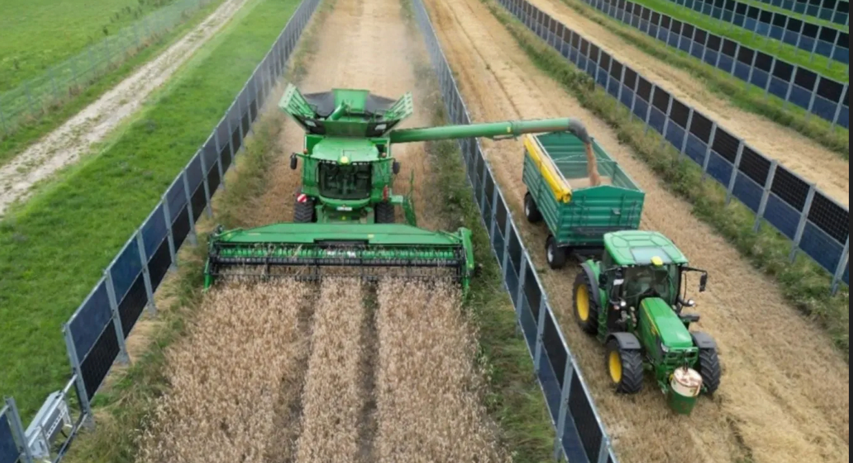 Constraint/flexibility/geothermal/vertical-agrivoltaic/wave power & focus on sodium-ion batteries Constraint/flexibility/geothermal/vertical-agrivoltaic/wave power & focus on sodium-ion batteries