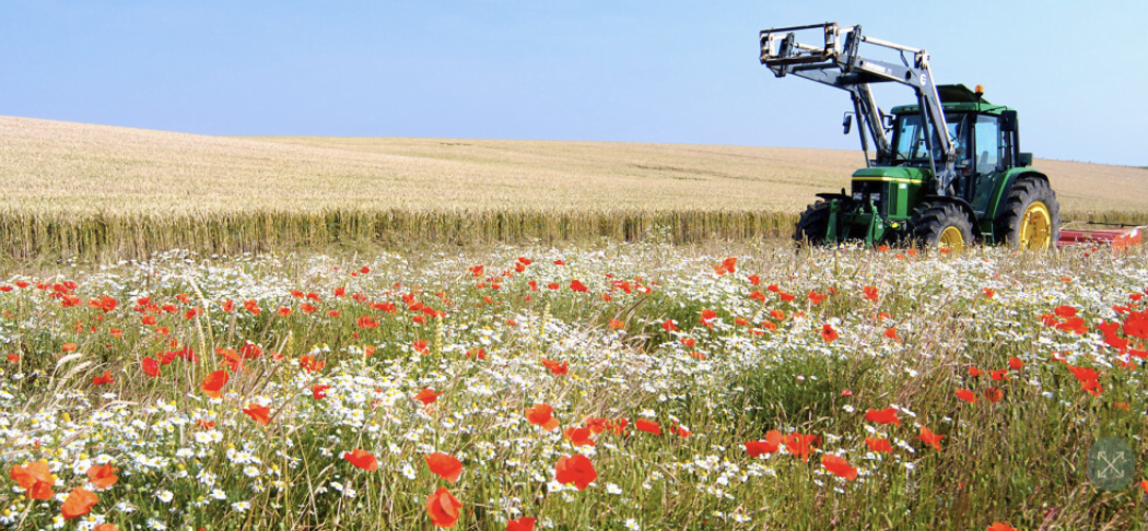 Regenerative farming/bins/curtailment/e-fuels & focus on heat networks Regenerative farming/bins/curtailment/e-fuels & focus on heat networks